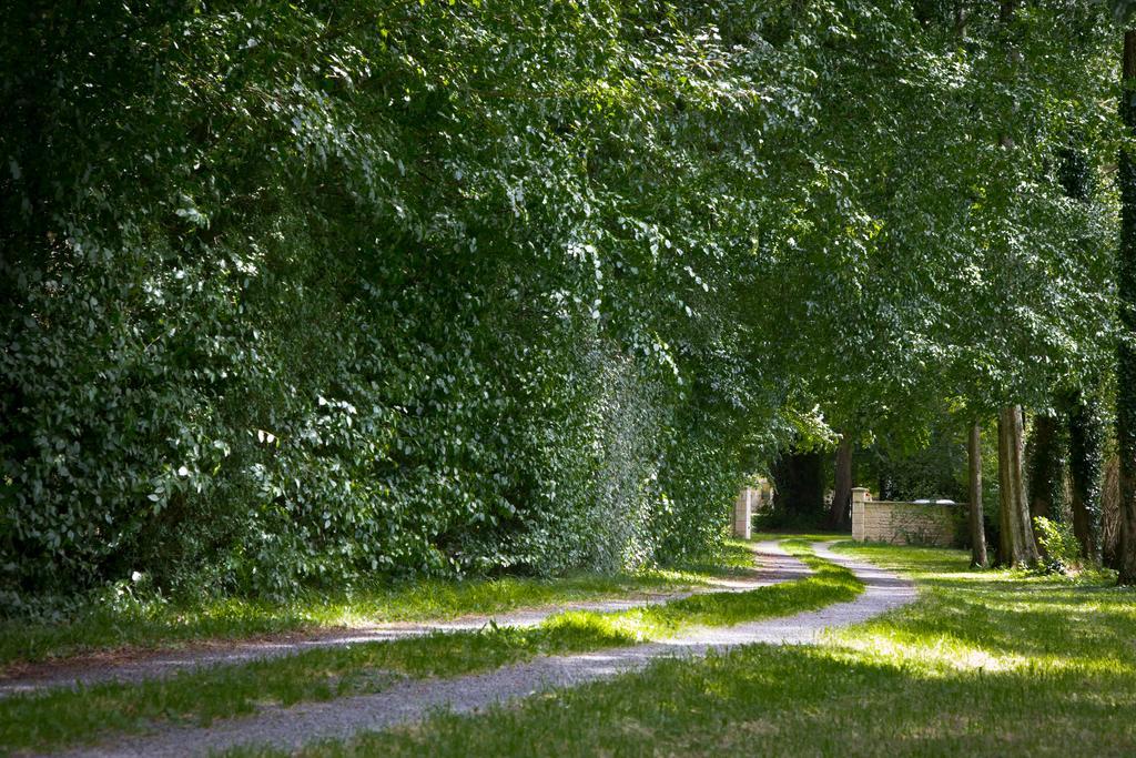 Magnifique Chateau Renove Proche Bourg Grand Parc Belle Terrasse Billard, Ping Pong, Proche Bayeux Et Plages Du Debarquement Tilly-sur-Seulles Екстериор снимка